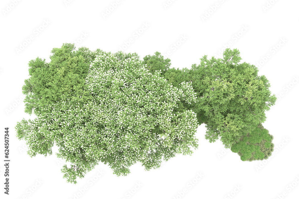 Obraz premium Landscape isolated on transparent background. 3d rendering - illustration