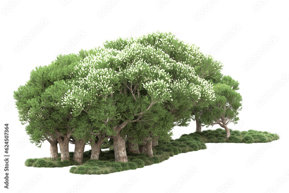 Fototapeta premium Landscape isolated on transparent background. 3d rendering - illustration
