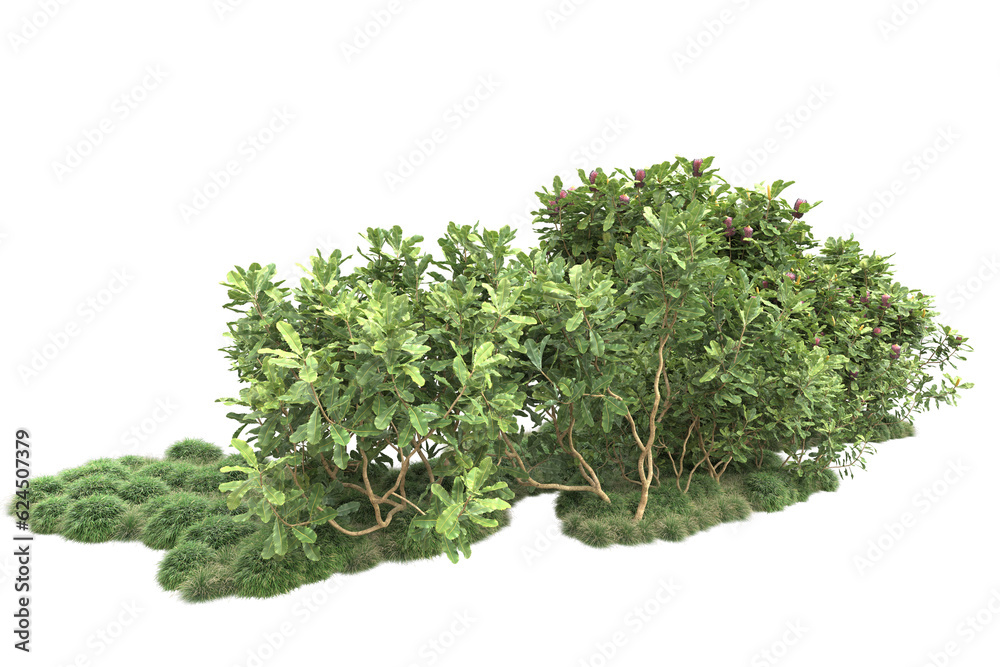 Fototapeta premium Landscape isolated on transparent background. 3d rendering - illustration