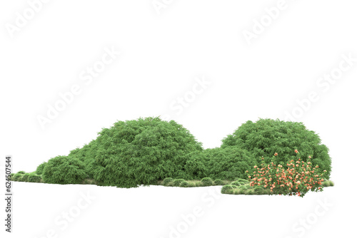 Landscape isolated on transparent background. 3d rendering - illustration