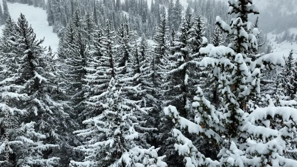 Flying over a snow covered forest in the Wasatch Mountains near Salt Lake City, Utah. Flying over a snow covered forest in the Wasatch Mountains near Salt Lake City, Utah.