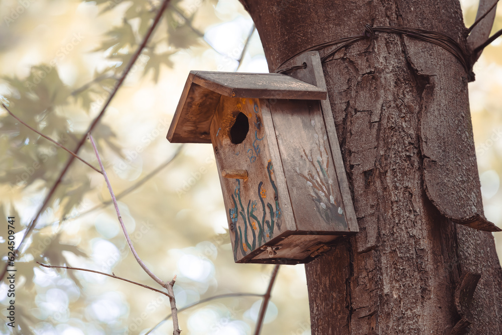 A wooden birdhouse bolted to a tree in a park with wire. Animal Protection Day. Environmental care. Humanity and wildlife. Bird feeder and squirrel. City park.