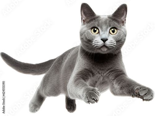 Graceful Russian Blue Cat in Mid-Leap - Transparent Background