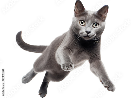 Graceful Russian Blue Cat in Mid-Leap - Transparent Background © Emojibb.Family