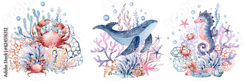 Photography Sea animals set
