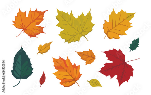 A vibrant colorful set of fallen maple leaves, flat design style, collection of editable objects on white background