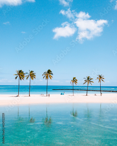 beach with palm trees © Matthew