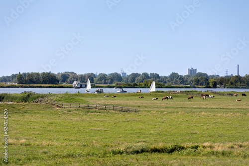 Sailboats on the Kagerplassen (Spriet) with people sailing in the South-Holland village of Warmond in the Netherlands. On a beautiful day with a blue cloudy sky. © misign