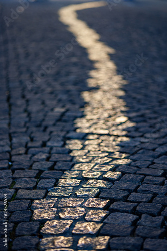 road in the street near Odeonsplatz (Viscardigasse). Bronze/gold coloured cobble stones along this street are a memorial to those who resisted the Nazi Regime