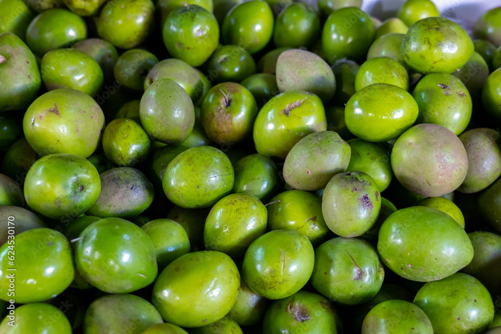 Bunch of Green Jocotes (Spondias purpurea) Known as Ciruela or Purple Mombin, a Fruit Native to Central America on a Stall in Colorful Market Bunch of Green Jocotes (Spondias purpurea) Known as Ciruela or Purple Mombin, a Fruit Native to Central America on a Stall in Colorful Market