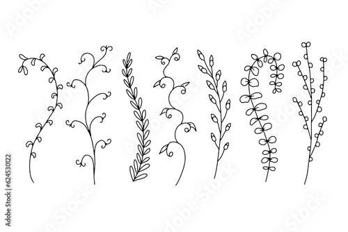 Hand drawn wild flowers illustrations set isolated on white background. Minimalist floral doodles.