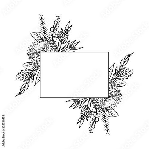 Hand drawn monochrome line art protea flower tropical rectangle horizontal frame. Floral greeting card template