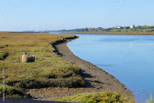 The swamp and wetlands in Tavira, Portugal