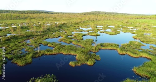 Movement over a natural wetland on a summer evening near Kemijärvi, Northern Finland