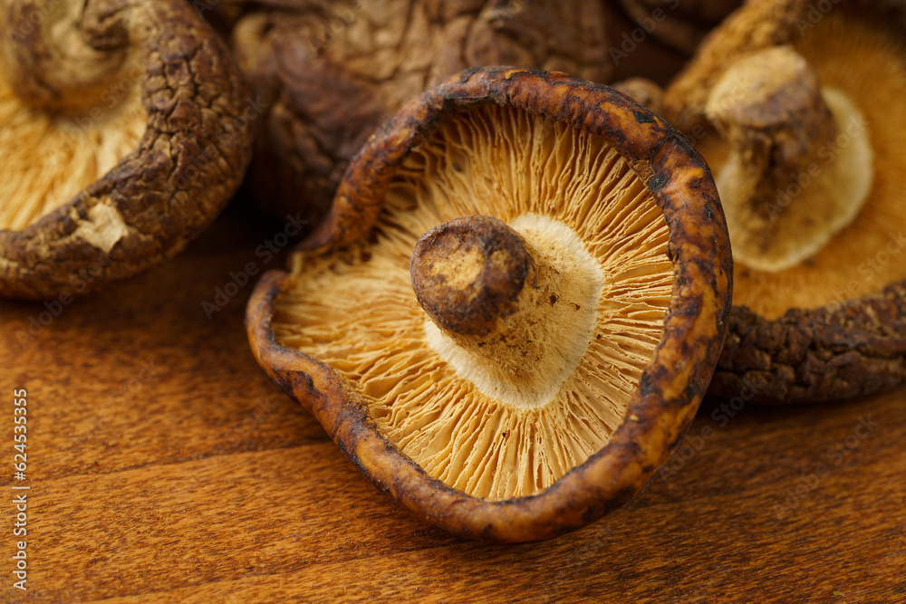 Dried shiitake mushrooms on a monochrome background Dried shiitake mushrooms on a monochrome background