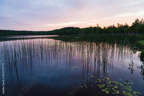 Lake in the forest in Latgale region  Latvia. Sunset  reflection. Wallpaper  background