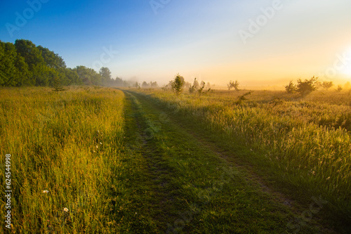 Sunrise in summer on a field with fog
