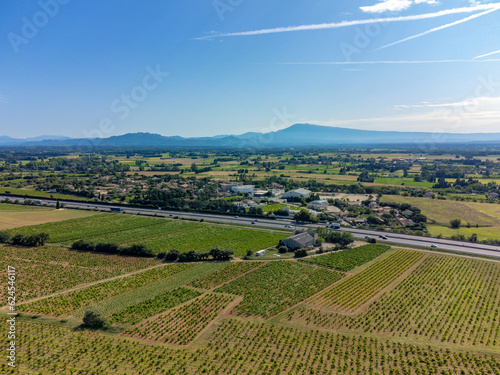Vineyards of Chateauneuf du Pape appelation with grapes growing on soils with large rounded stones galets roules, view on Ventoux mountain, famous red wines, France