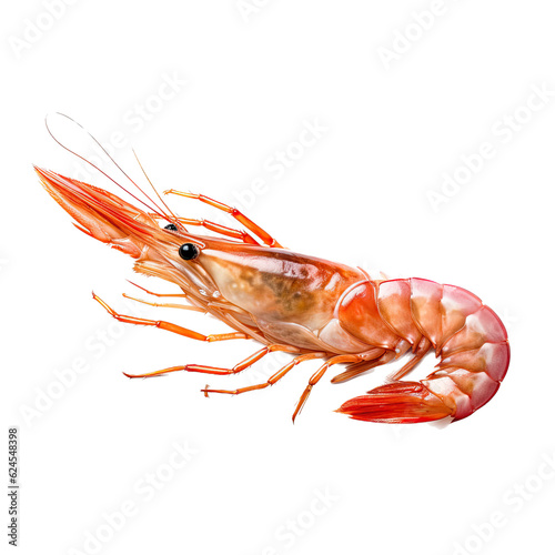 Northern Shrimp (Pandalus eous) pink crustacean in a Food-themed, photorealistic illustration in a PNG format, cutout, and isolated. Generative AI