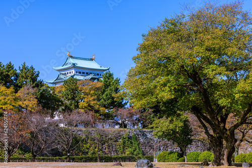 秋の名古屋城天守閣　愛知県名古屋市 photo