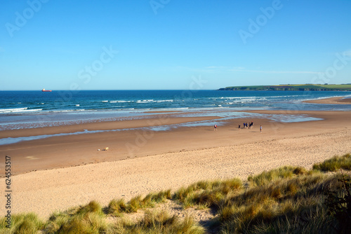 A group of tourists is walking along the wide sea coast. A view from afar. A cargo ship sails on the distant horizon