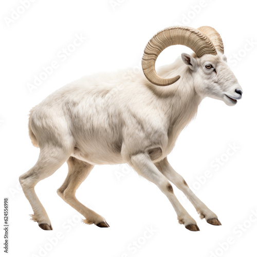 a Dall Sheep (Ovis dalli dalli) ram with full curl, in motion, running jumping in a Wildlife-themed, photorealistic illustration in a PNG, cutout, and isolated. Generative AI