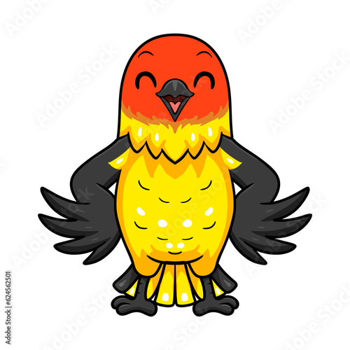 Cute western tanager bird cartoon