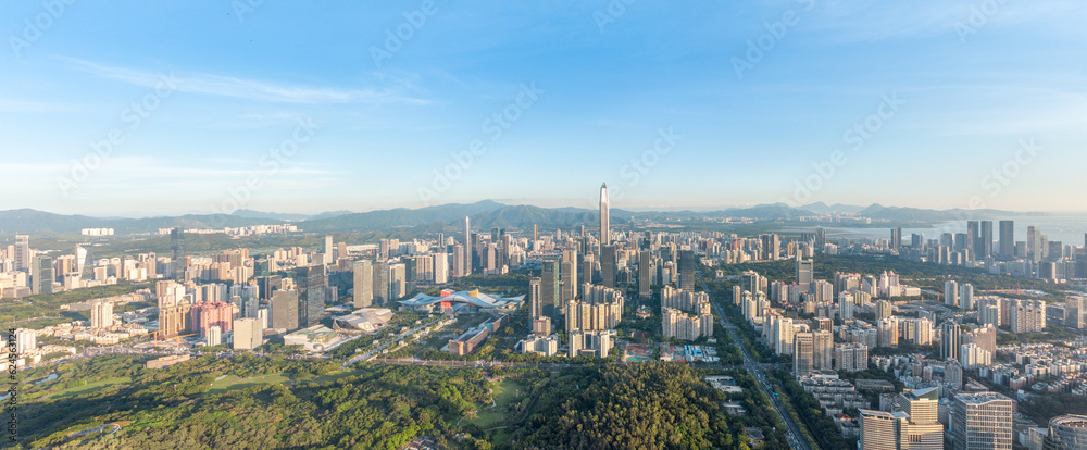 Shenzhen Futian CBD Central Axis City Skyline Aerial Photography Scenery Shenzhen Futian CBD Central Axis City Skyline Aerial Photography Scenery