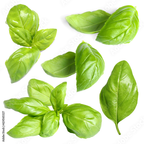 Healthy herb. Collage with fresh basil leaves on white background