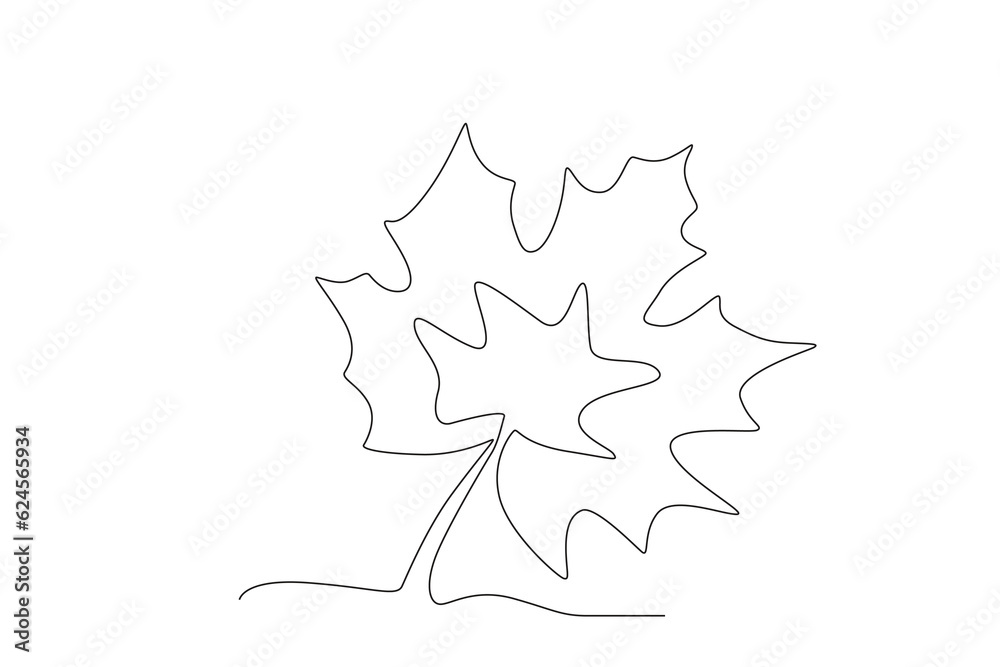 Illustration of an autumn leaf. Autumn one-line drawing Illustration of an autumn leaf. Autumn one-line drawing