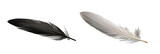 Black feather and white feather over isolated transparent background