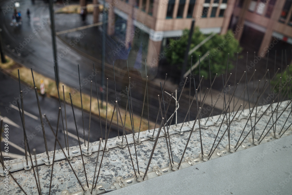 Selective focus and close up detail of Gutter Spikes for Birds, protect bird to nest and roost on the high area on the building's facade. Selective focus and close up detail of Gutter Spikes for Birds, protect bird to nest and roost on the high area on the building's facade.
