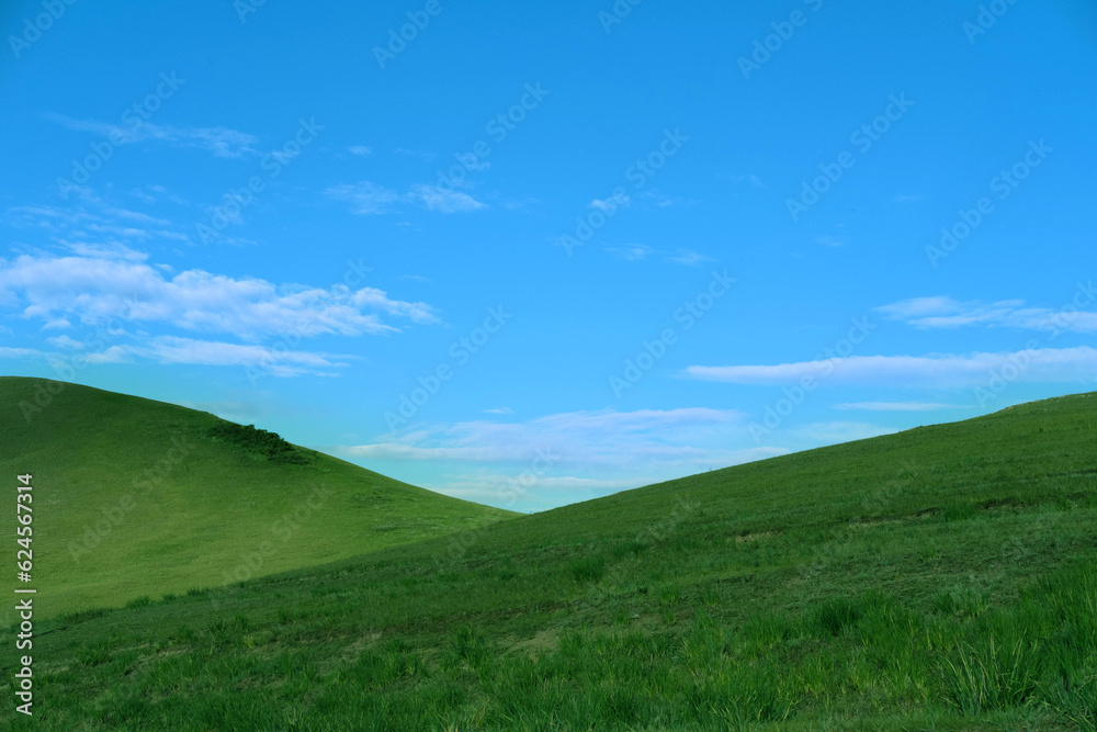 Minimalistic summer landscape with green meadow and blue sky. Beautiful natural background with wild field grass. Recreation, enjoyment of nature, the concept of travel. Minimalistic summer landscape with green meadow and blue sky. Beautiful natural background with wild field grass. Recreation, enjoyment of nature, the concept of travel.