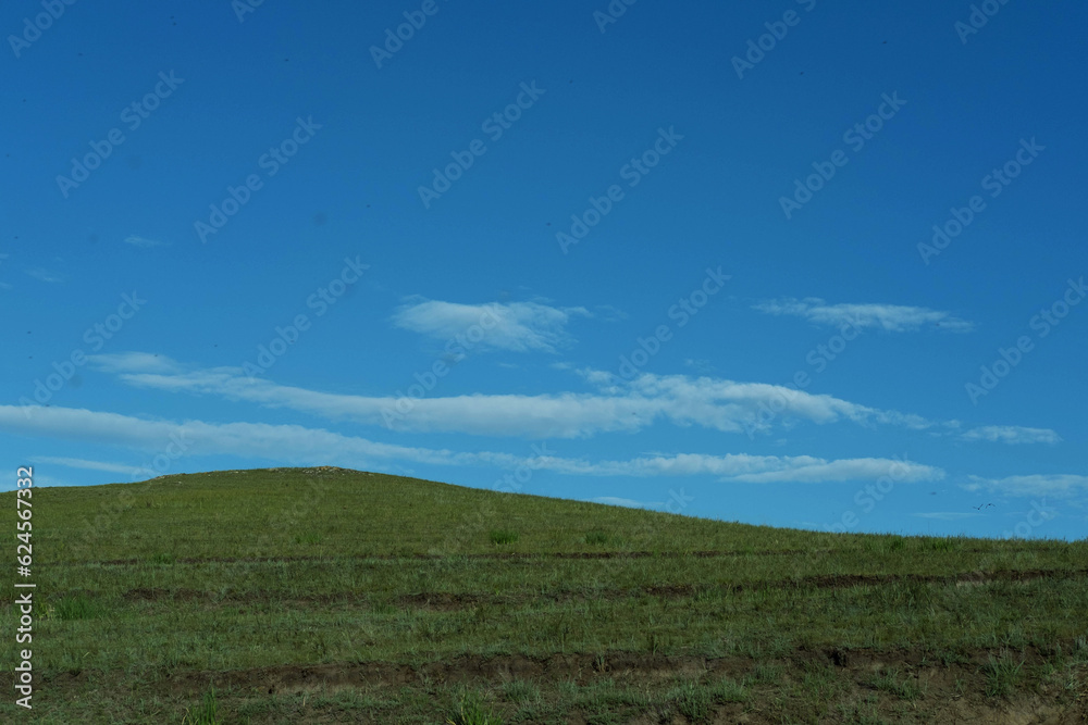 Minimalistic summer landscape with green meadow and blue sky. Beautiful natural background with wild field grass. Recreation, enjoyment of nature, the concept of travel.