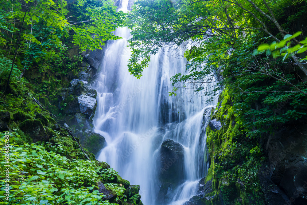 壮瞥滝 壮瞥滝