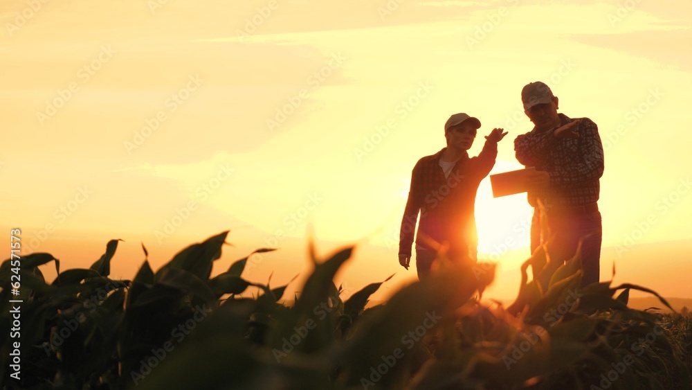 silhouette two farmers work tablet sunset, farming teamwork group people contract handshake agreement sunset corn wheat, going happy walking farmers successful contract background information ground - obrazy, fototapety, plakaty 