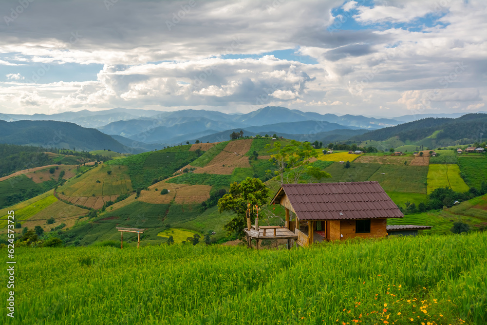 View of rice terrace at Ban Pa Bong Piang, Chiang Mai, Thailand