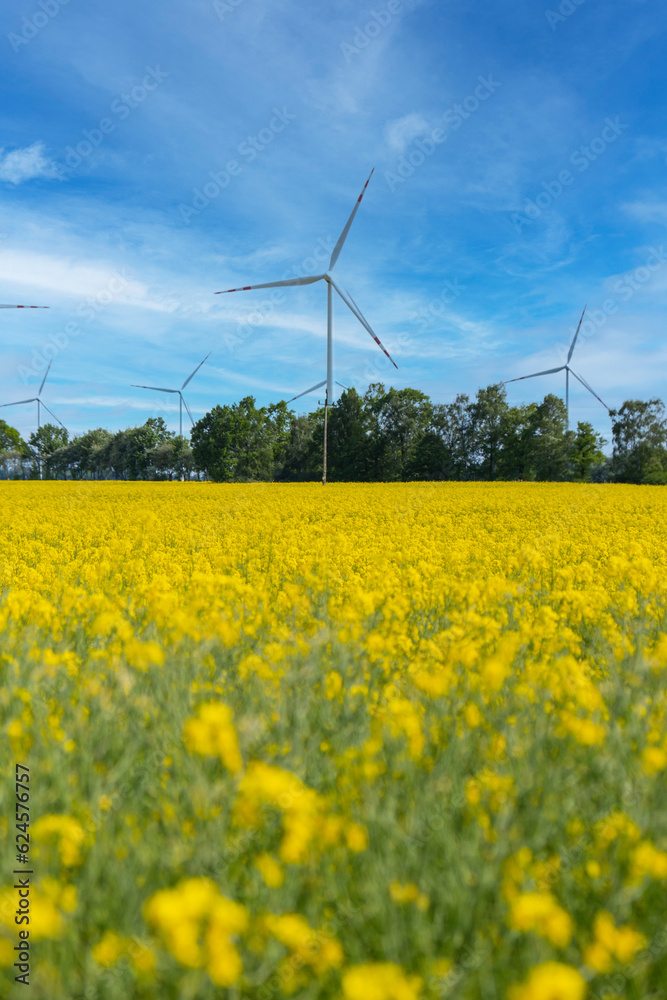 Wind turbine on grassy yellow field against cloudy blue sky in rural area during sunset. Offshore windmill park with stormy clouds in farmland Poland Europe. Wind power plant generating electricity Wind turbine on grassy yellow field against cloudy blue sky in rural area during sunset. Offshore windmill park with stormy clouds in farmland Poland Europe. Wind power plant generating electricity