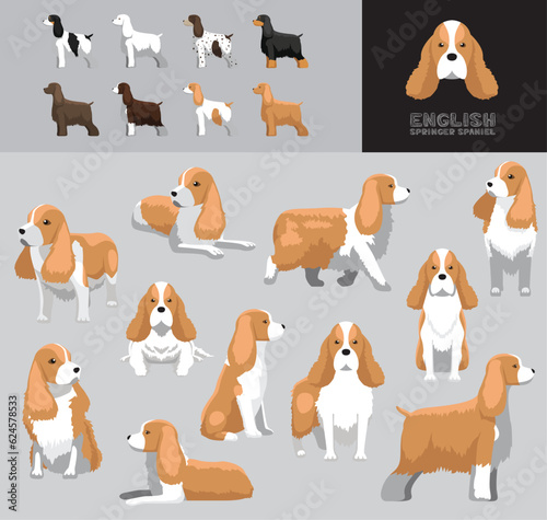 Dog English Springer Spaniel Cartoon Vector Illustration Color Variation Set Blonde Coat