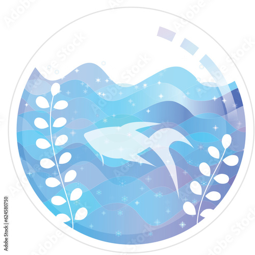 ベタと球体の水槽
