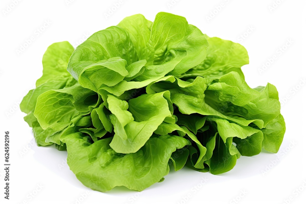 Fresh green lettuce salad leaves isolated on white background Fresh green lettuce salad leaves isolated on white background