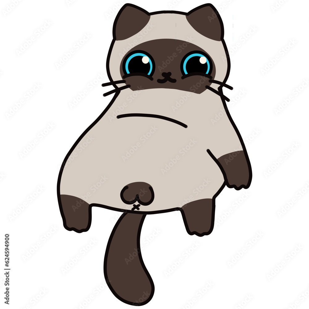 Fototapeta premium Cat