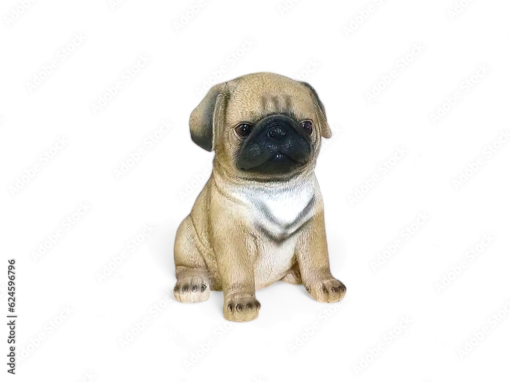 Miniature pug puppy animal on white background