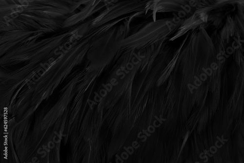 Fototapet Beautiful black grey bird feathers pattern texture background.