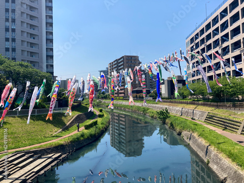 Japanese Koinobori Carp festa,  celebrate Tango no sekku photo