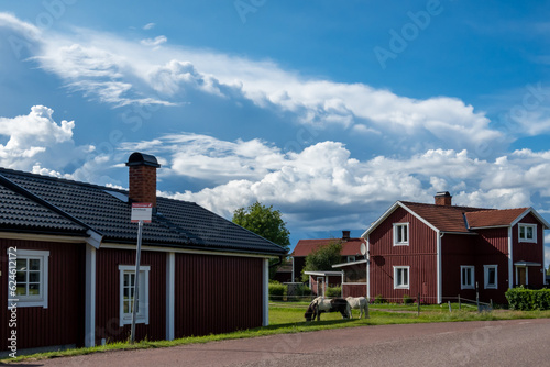 Nusnas, Sweden Wooden residential houses and horses grazing. photo