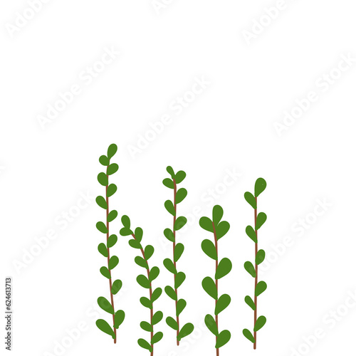 Leaves and tree