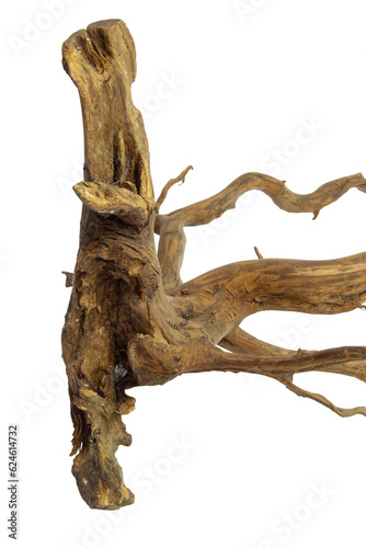 Driftwood texture piece of wood isolated on transparent background. PNG transparency