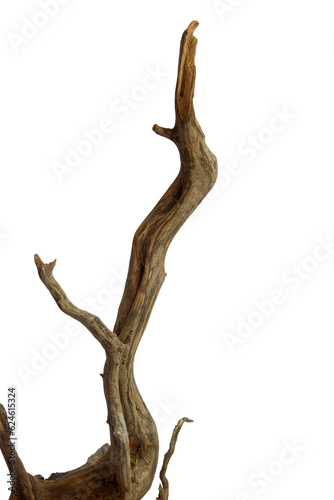 Aesthetic driftwood texture for decoration isolated on transparent background. PNG transparency