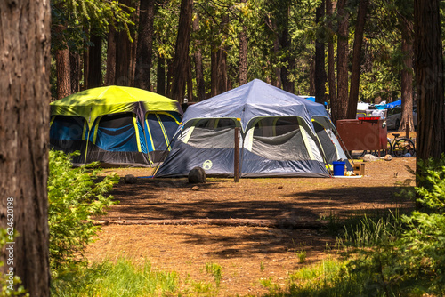 Tourist tents in the forest. Camping travel concept.